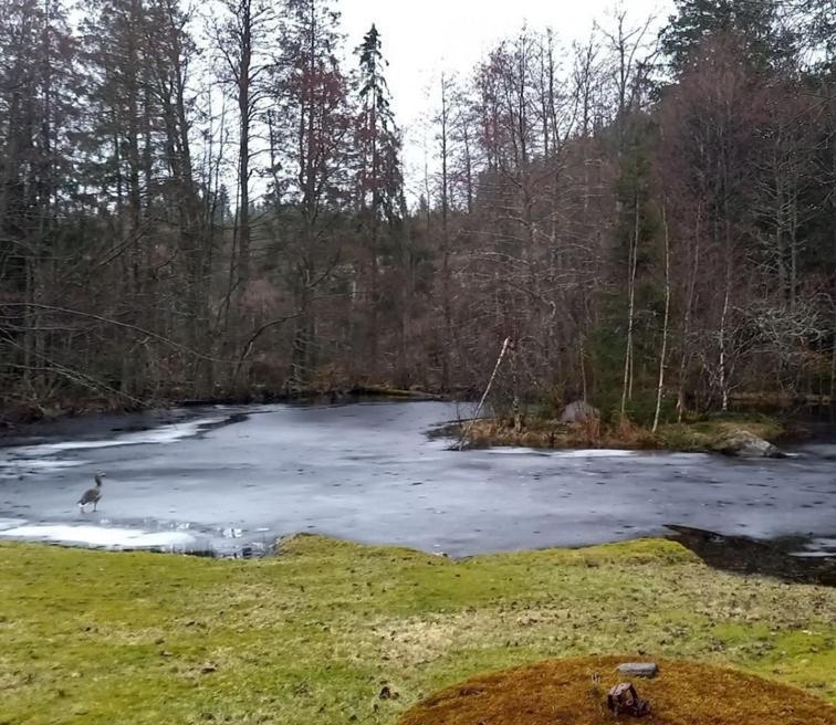 Holiday home Gaststuga: Nature Retreat With Sauna And Jacuzzi *